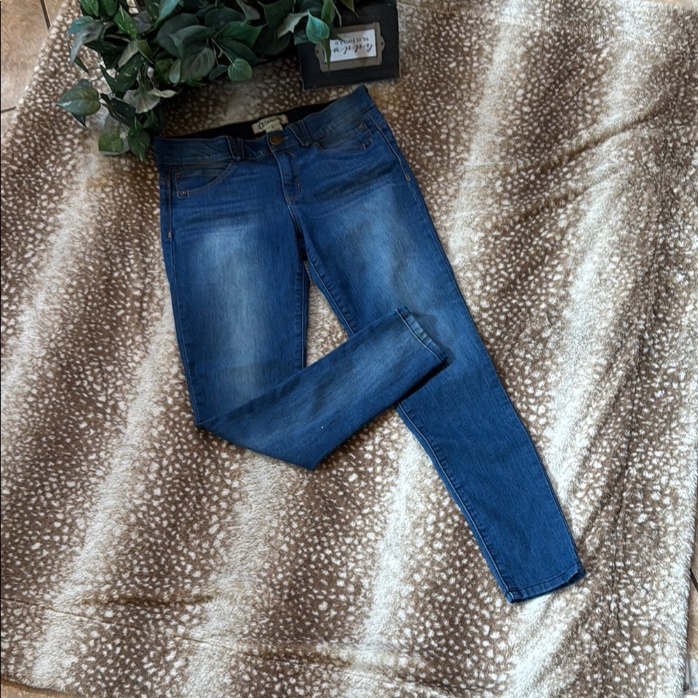 Democracy Blue Skinny Jeans Classic Denim Fit